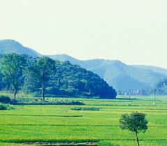 Hunan