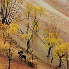 Shanxi